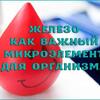Статья врача онколога Екатерина Ткаченко